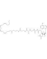 Arachidonyl coenzyme A, [arachidonyl-1-14C]-