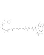 Arachidonyl coenzyme A, [arachidonyl-5,6,8,9,11,12,14,15-3H]-