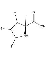 L-Proline, [2,3,4,5-3H]-
