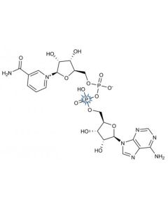 [adenylate-32P], Nicotinamide Adenine Dinucleotide, 800 Ci/mmol, 5 mCi/ml