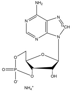 Adenosine 3',5'-cyclic phosphate, ammonium salt, [8-14C]-