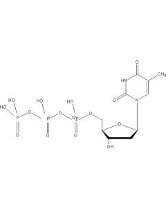 [alpha-P32]TTP, 3000 Ci/mmol, 10 mCi/ml