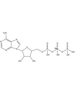 [beta-P32]ATP, 6000 Ci/mmol, 10 mCi/ml